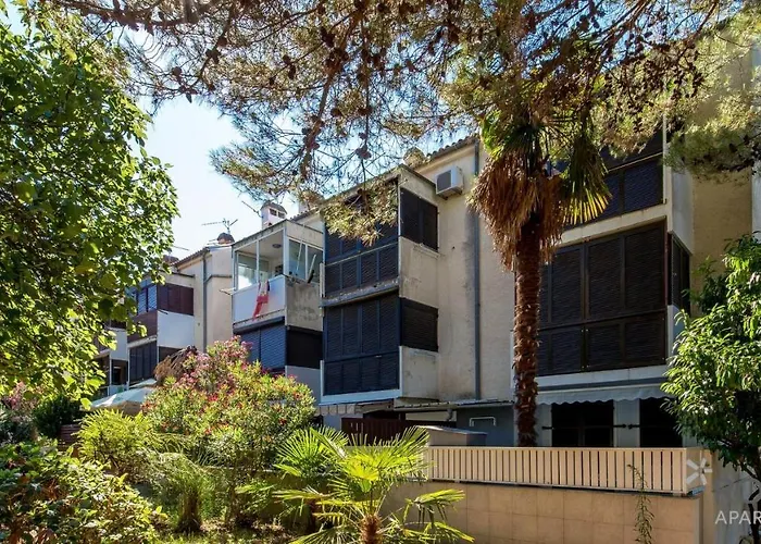 Rona Zizi * 波雷奇